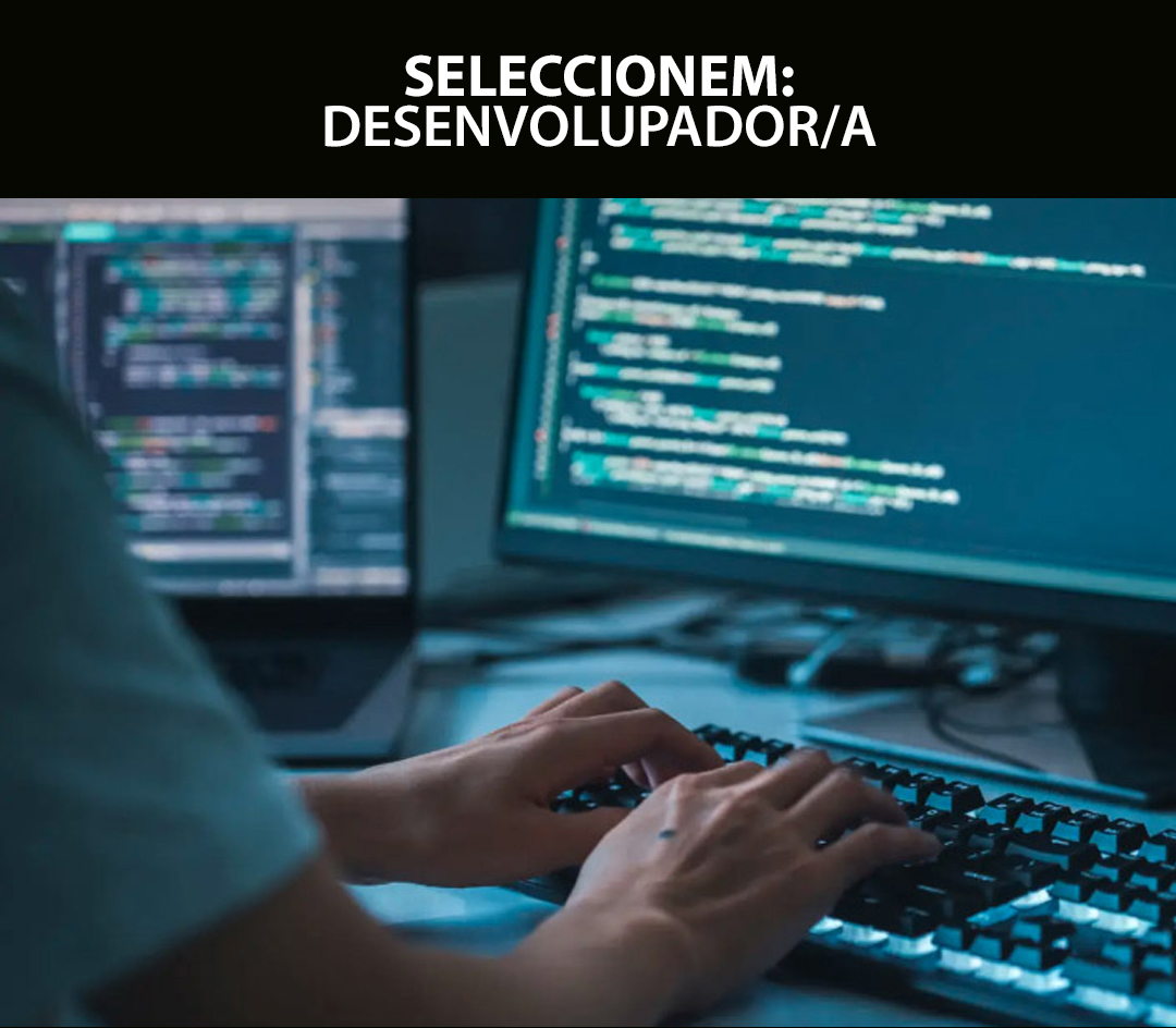 Seleccionem desenvolupador web