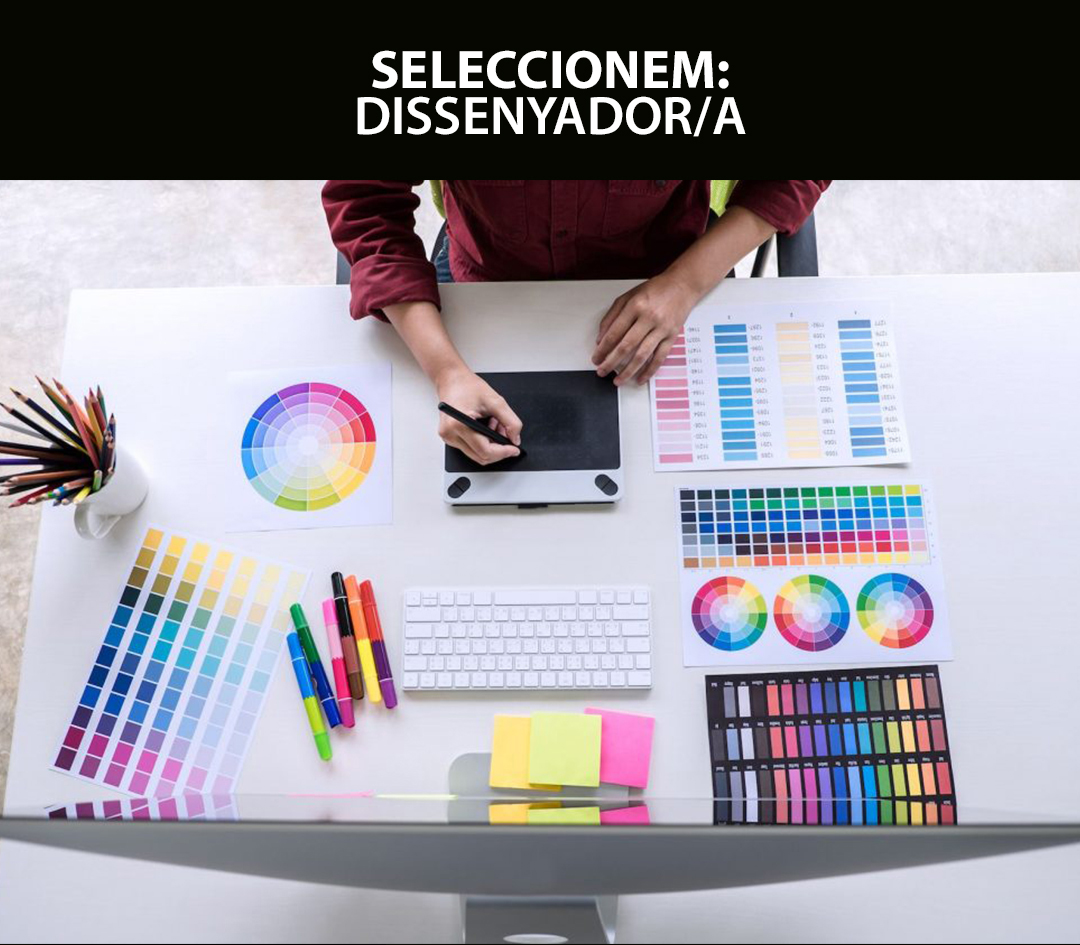 Seleccionem desenvolupador web